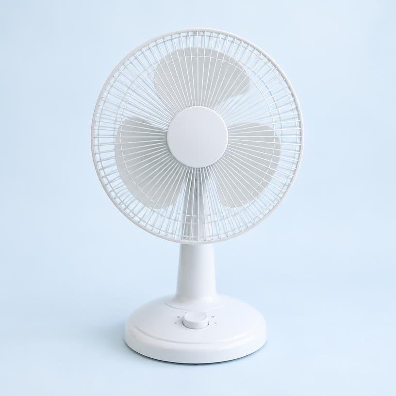 fan